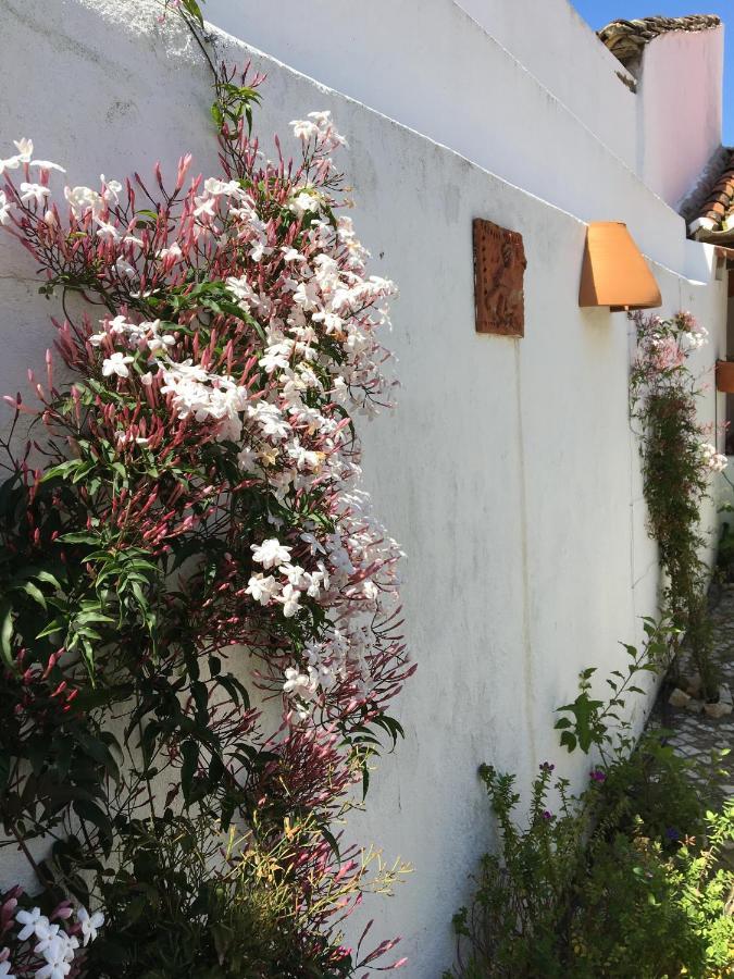 Casa Da Galega Vila Golegã Exterior foto